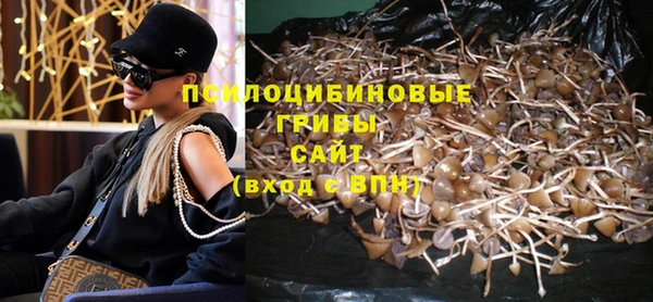 прущие грибы Тавда