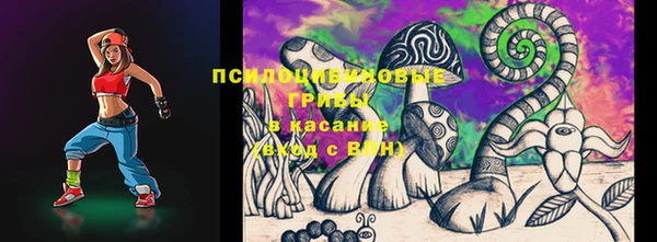 бошки Горнозаводск