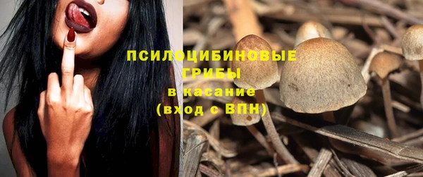 гашиш Вяземский
