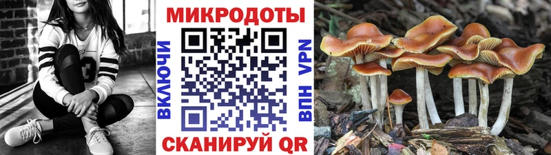 Галлюциногенные грибы прущие грибы  Купить где  Ряжск 